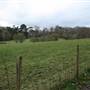 Scadbury Park Nature Reserve