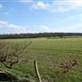 Richmal Crompton Fields