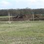 Richmal Crompton Fields