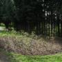 Brenchley Gardens