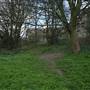 Dawson's Hill