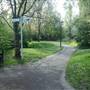 Russia Dock Woodland