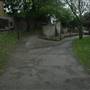 Surrey Canal Path