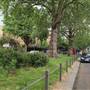 Brook Green