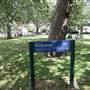 Parsons Green