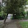 St Peters Square (The park)