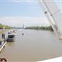 Albert Bridge