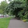 Embankment Gardens Chelsea
