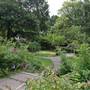 Holland Park - Kyoto Garden