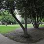 Redcliffe Square Gardens