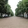 Royal Avenue