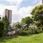 Wayneflete Square