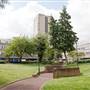 Wayneflete Square