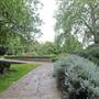 Bishops Park - Rose Gardens