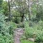 Bishops Park - Moat Garden