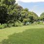 Bishops Park - Moat Garden