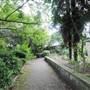 Bishops Park - Rose Gardens