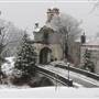 Vanderbilt Museum