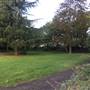 Fishponds Park