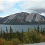 Bove Island