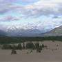 Carcross Desert