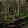 South Norwood Country Park