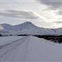 Dempster Winter