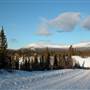 Fish Lake February