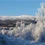 Fish Lake Road December