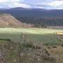 Grove's Ranch