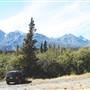 Haines Junction Field