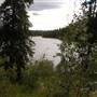 Long Lake Summer