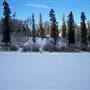 Long Lake Winter