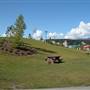 Shipyards Park