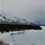 Tagish Lake May