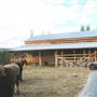 Takhini Highlander Farm