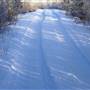 Vista Road
