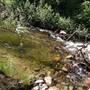 Wolf Creek Campground