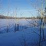 Winter Farms