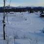 Winter Farms