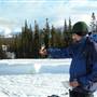 White Pass Forest