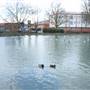 Priory Gardens