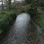 Riverside Gardens