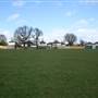 Robin Hood Green