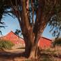Straus Home Ranch