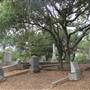 Pioneer Hill
