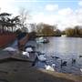 Harrow Lodge Park
