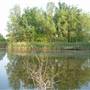 Bedfont Lakes Country Park