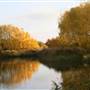 Bedfont Lakes Country Park