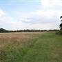 Hanworth Park